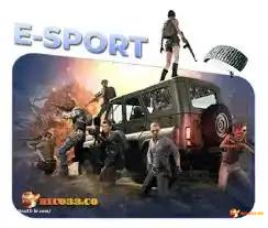 rico33 - 2 rico33 - 2